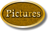 Pictures logo